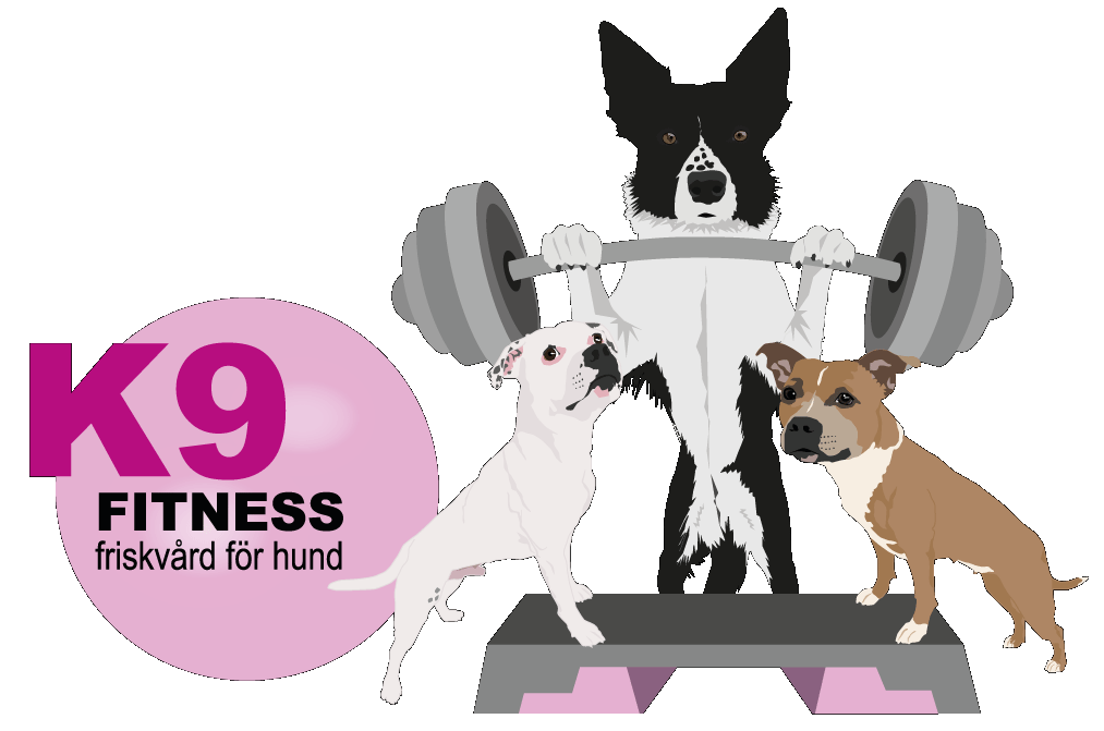 K9 Fitness i Täby