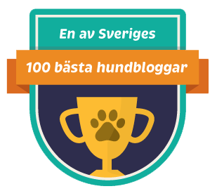 100hundbloggar