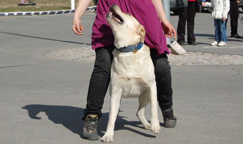 ArkenApril2009_3