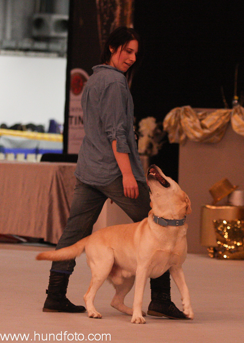 CharlieHund2010_5