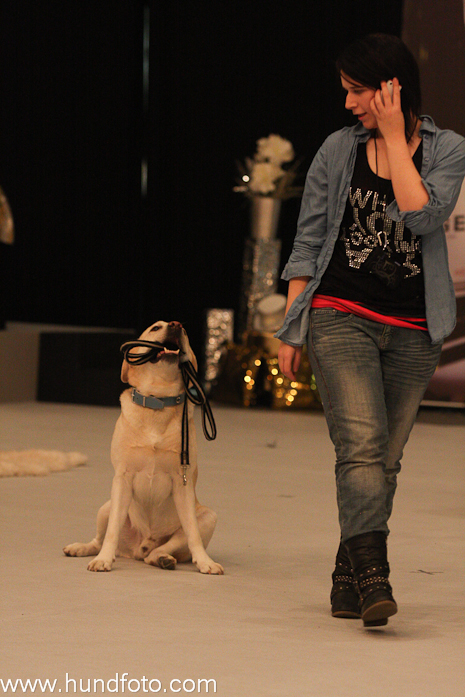 CharlieHund2010_6