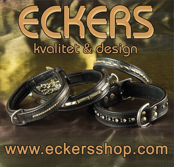 Eckers
