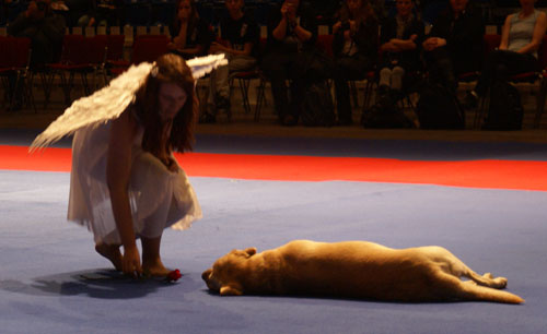 HUND2008