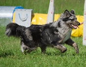 LunaStam3
