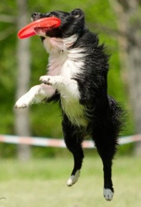 jump